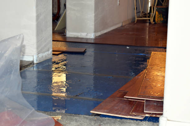 Professional Flood Cleanup technician working in Tremont, PA
